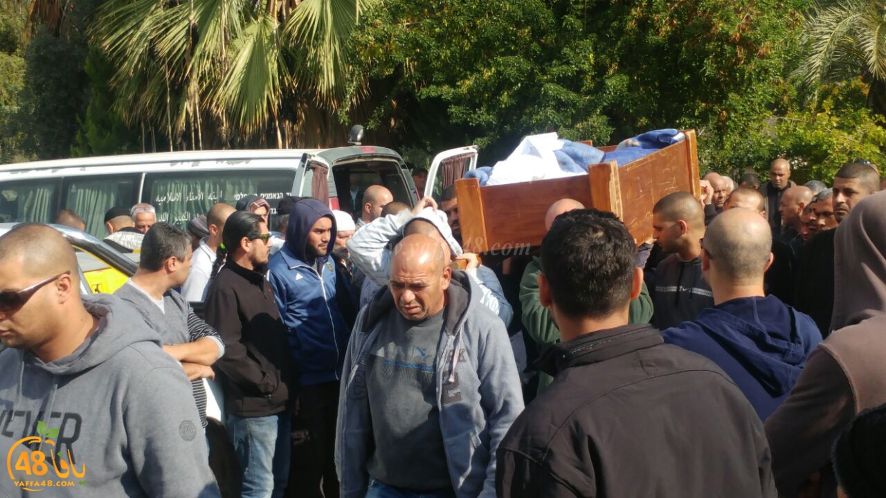 tashye3 abo kashef (36).jpg